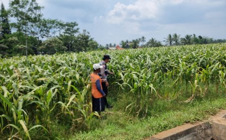 Dari Petani hingga Distribusi, Polisi Ikut Pastikan Rantai Pangan Berjalan
