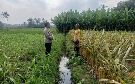 Dari Lahan hingga Hasil Panen, Polres Malang Dukung Ketahanan Pangan Nasional